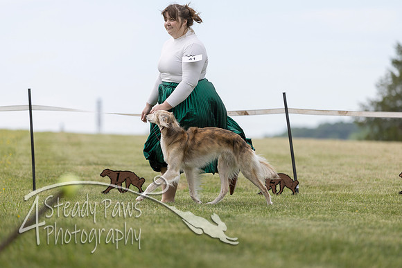 SSSShow1_463