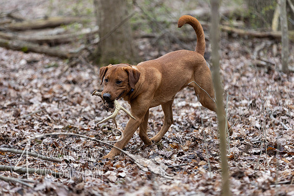 ShedHuntSat193