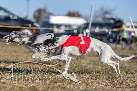 AutumnDerby34