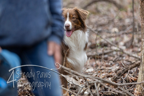 ShedHuntSat221