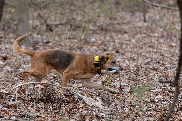 ShedHuntSat17