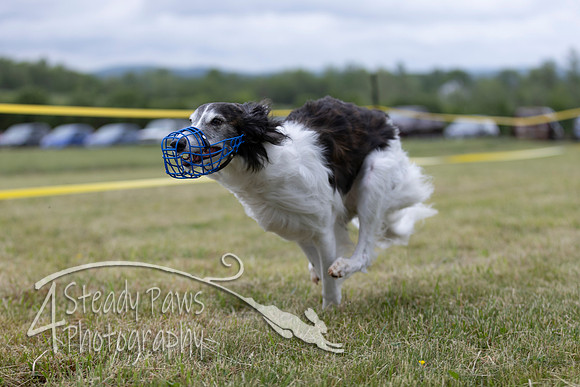 FastDash119