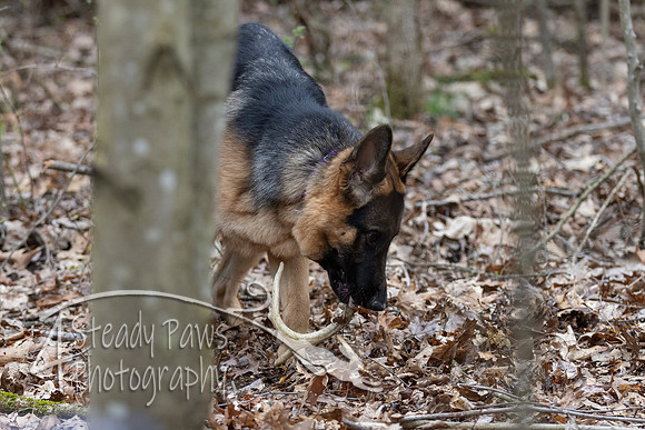ShedHuntSat169