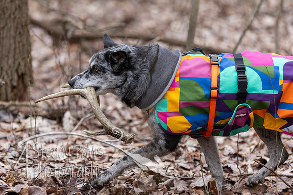 ShedHuntSat135