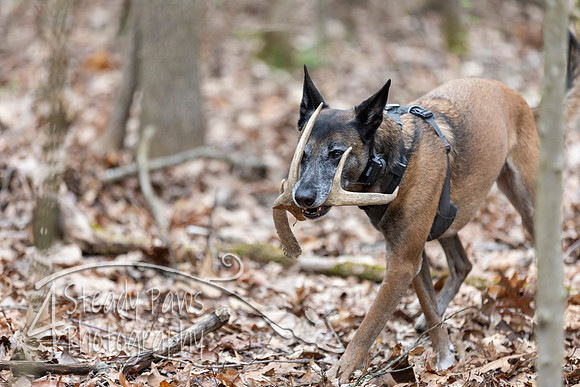 ShedHuntSat144