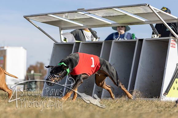 AutumnDerbyCandid23