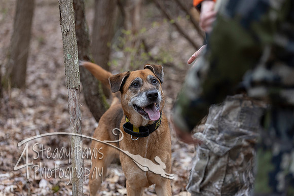ShedHuntSat20