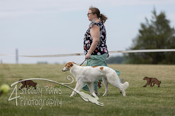 SSSShow1_359
