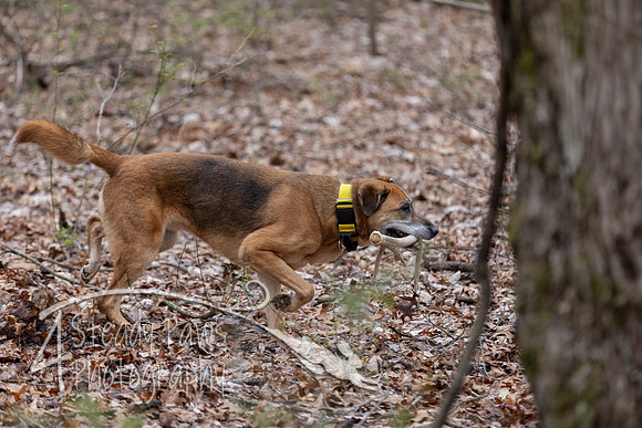 ShedHuntSat19