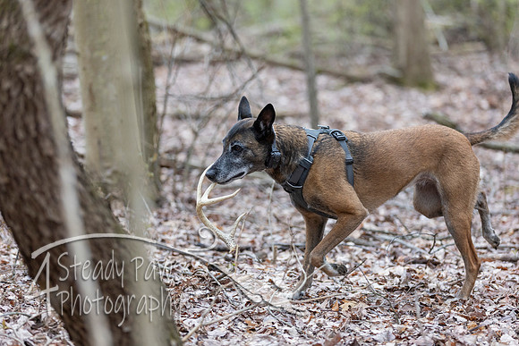 ShedHuntSat152