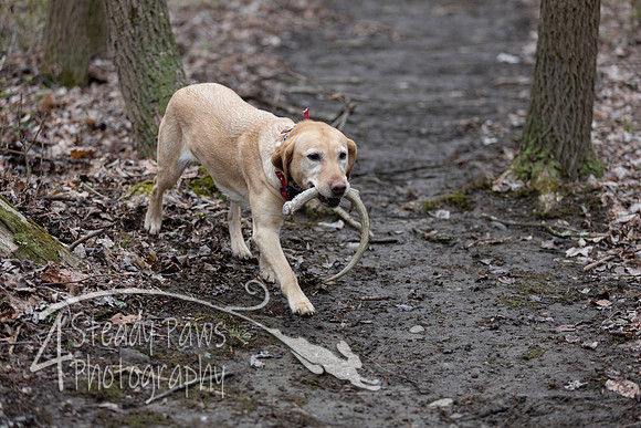 ShedHuntSat54