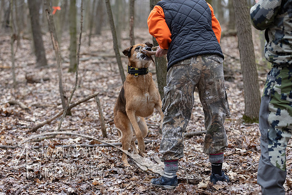ShedHuntSat26