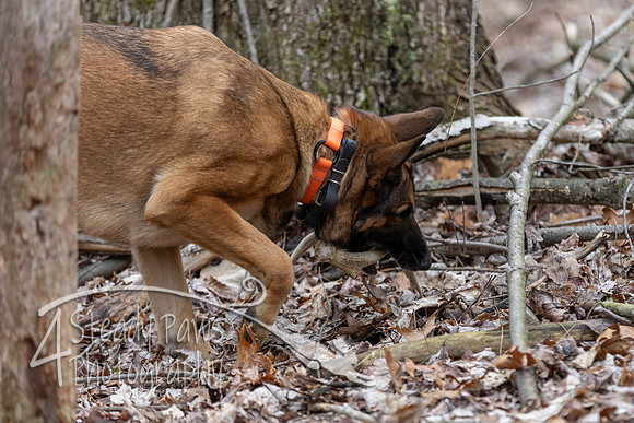 ShedHuntSat116