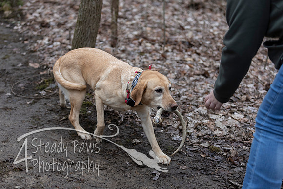 ShedHuntSat59