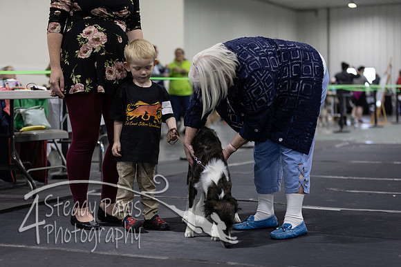 ECSShow20