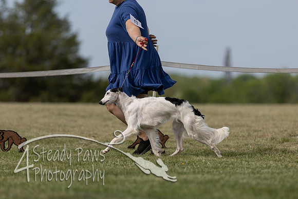 SSSShow1_243