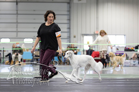 UKCSHOW2144