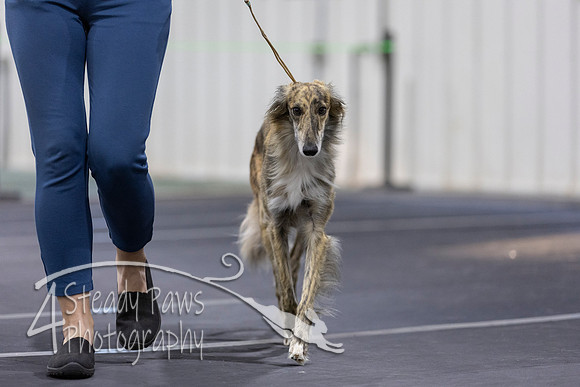 ECSSWEEPS87