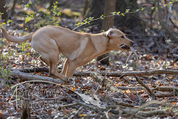 ShedHuntSat59