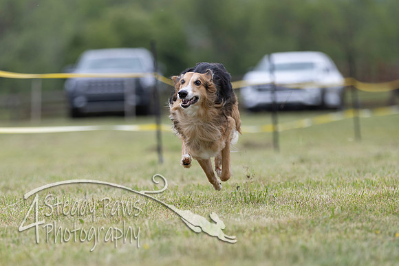 FastDash101