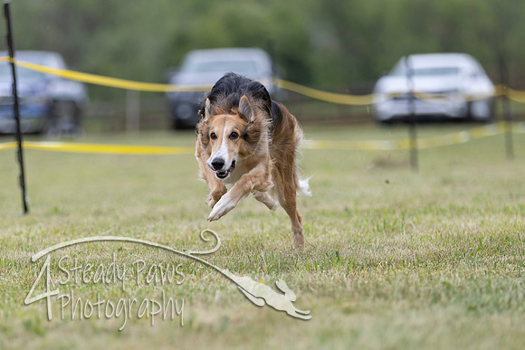 FastDash103