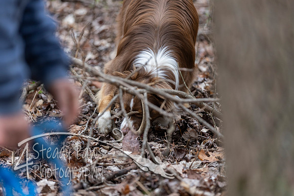 ShedHuntSat223
