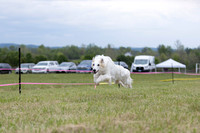 SSS2026DASH09