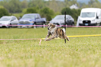 SSS2026DASH19