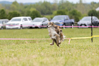 SSS2026DASH20