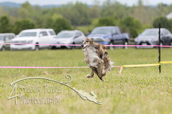 SSS2026DASH20