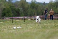 Fast Dash