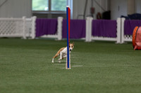 RookieICEJumping202607