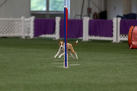 RookieICEJumping202606