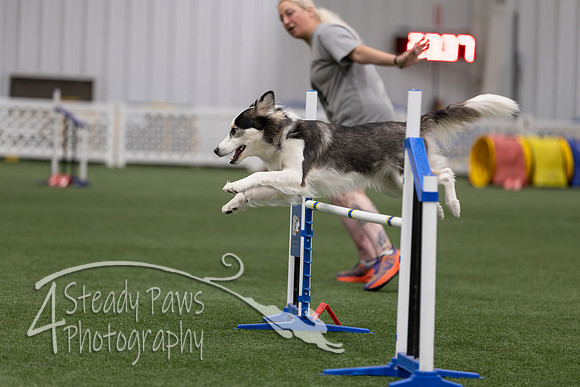 RookieICEJumping202605