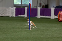 RookieICEJumping202609