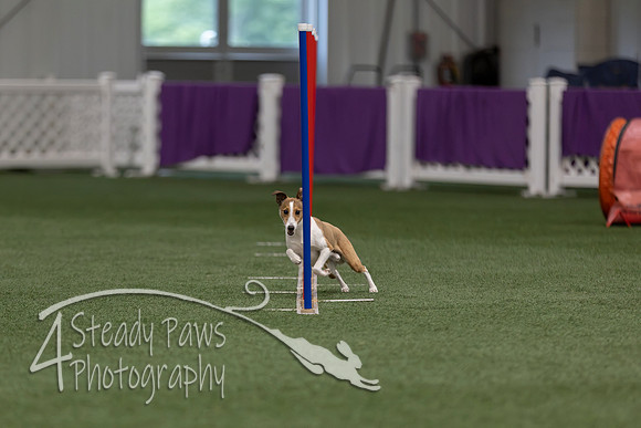 RookieICEJumping202609