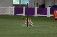 RookieICEJumping202608