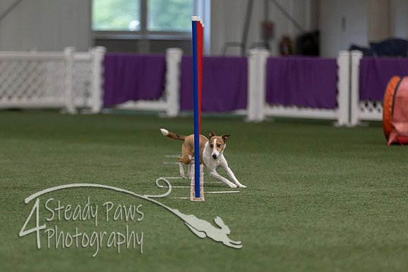 RookieICEJumping202608