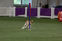 RookieICEJumping202610