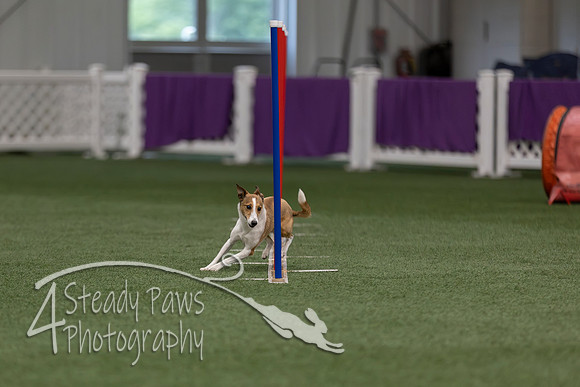 RookieICEJumping202610
