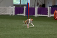 RookieICEJumping202611