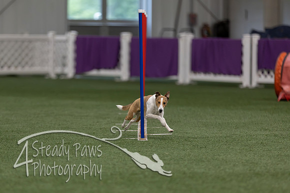 RookieICEJumping202611