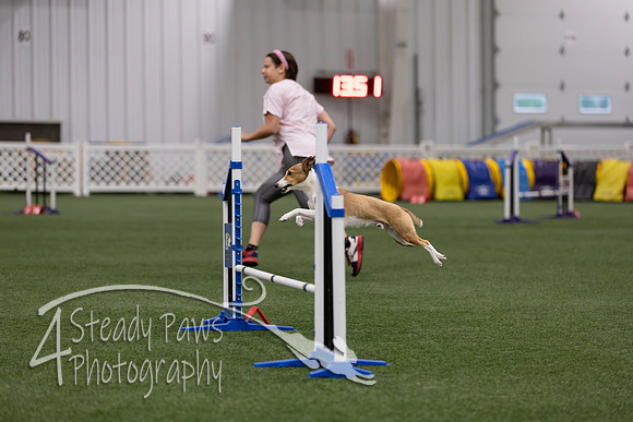 RookieICEJumping202612
