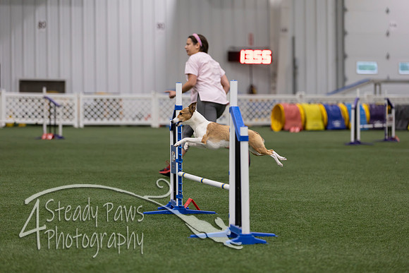 RookieICEJumping202613