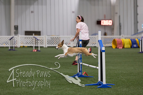 RookieICEJumping202614