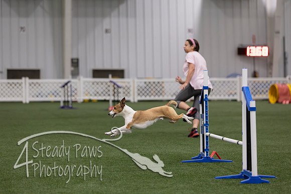 RookieICEJumping202615