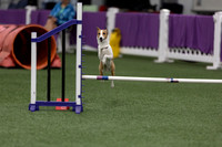 RookieICEJumping202616