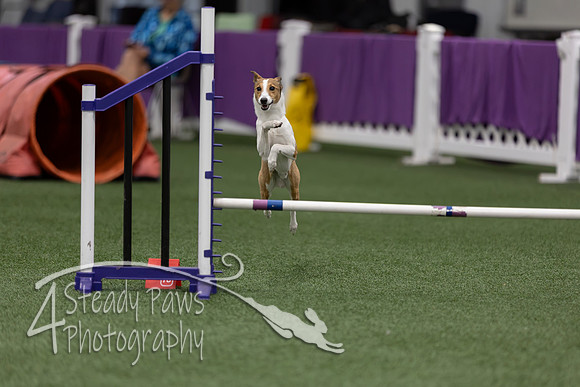 RookieICEJumping202616