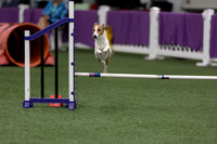 RookieICEJumping202617