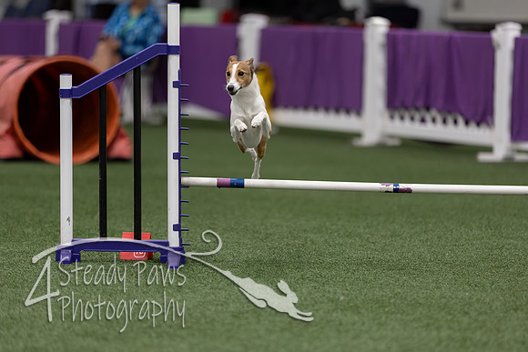 RookieICEJumping202617